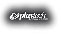 Our Partnerships 14
