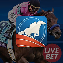 Winbox RCB988 horse racing