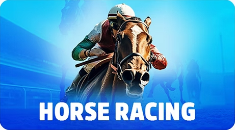 Winbox Horse Racing