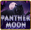 Winbox88 Panther Moon