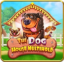 Winbox88 The Dog House Multihood