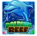 winbox88 dolphinreef