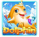 winbox88 dolphin