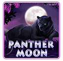 winbox88 panthermoon