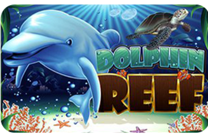 dolphin reef